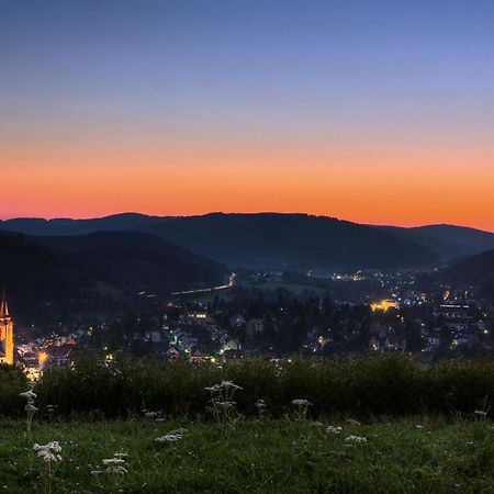Drei Tannen - Wohnung 12 - Apartmenthaus, Titisee, Nahe Badeparadies エクステリア 写真