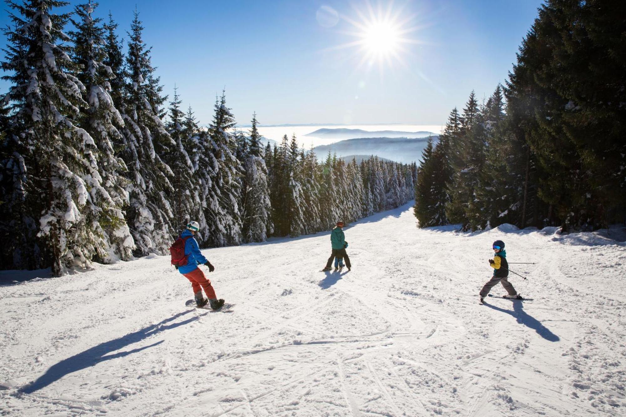 Drei Tannen - Wohnung 12 - Apartmenthaus, Titisee, Nahe Badeparadies エクステリア 写真